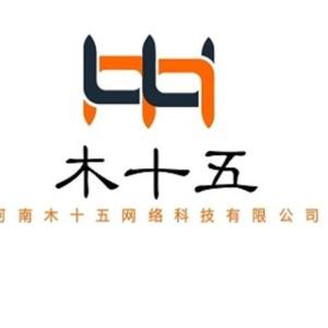 河南木十五網絡科技 技術驅動創新，引領數字化未來